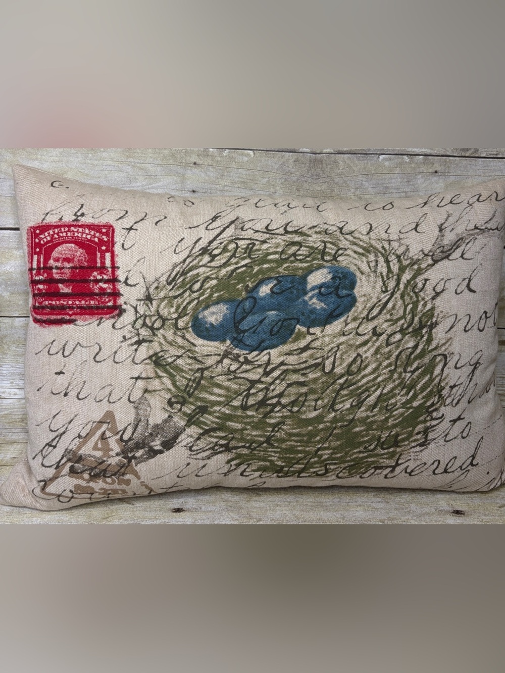 Newport Design Brand Decorative Throw Pillow with Postage Blue Egg Nest Design